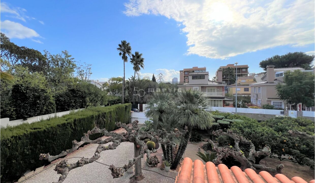 Terreno Limón, f11