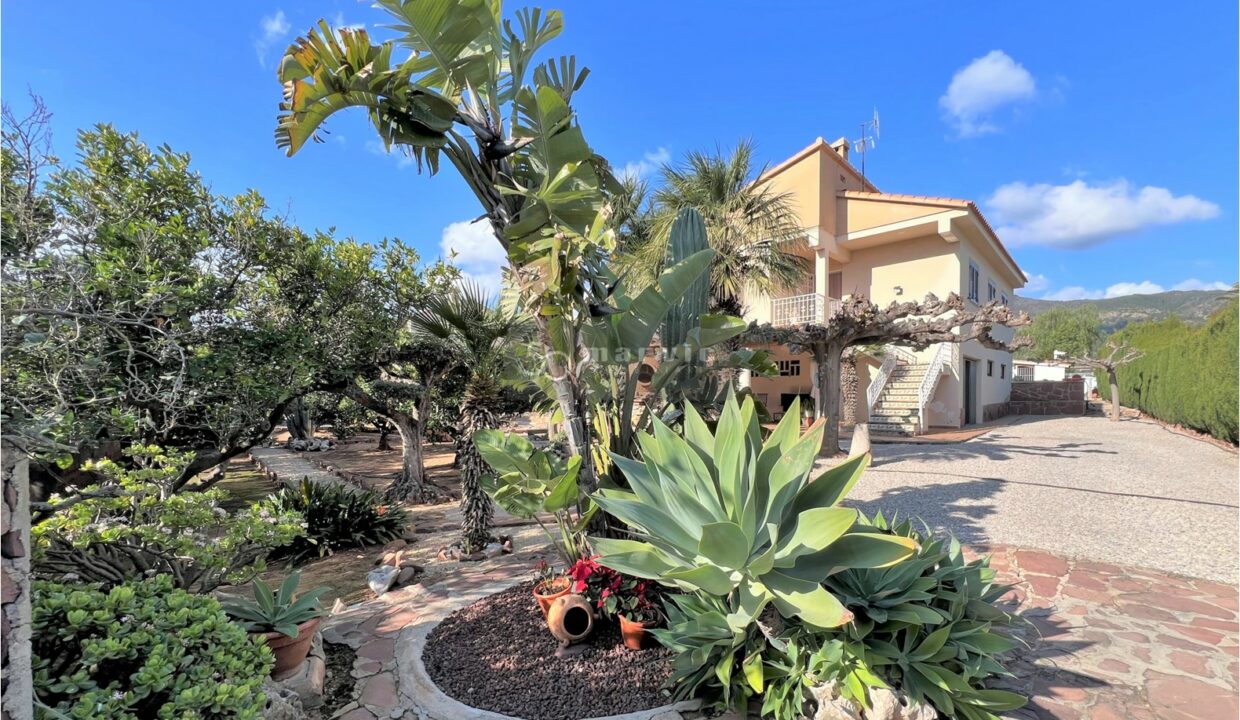 Terreno Limón, f23
