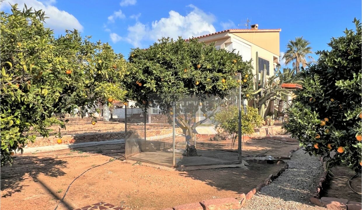 Terreno Limón, f33