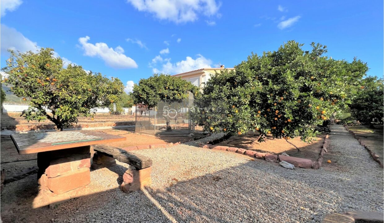 Terreno Limón, f35